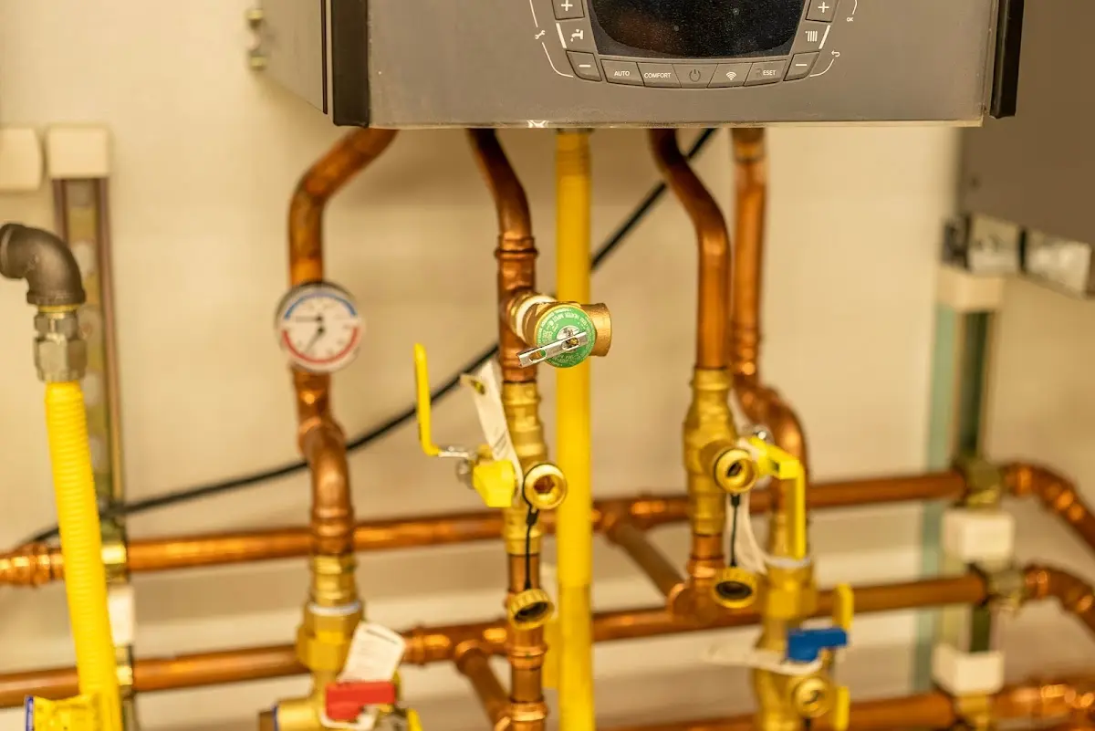 Licensed technician providing Sewer Cleanout for a homeowner in Belleair